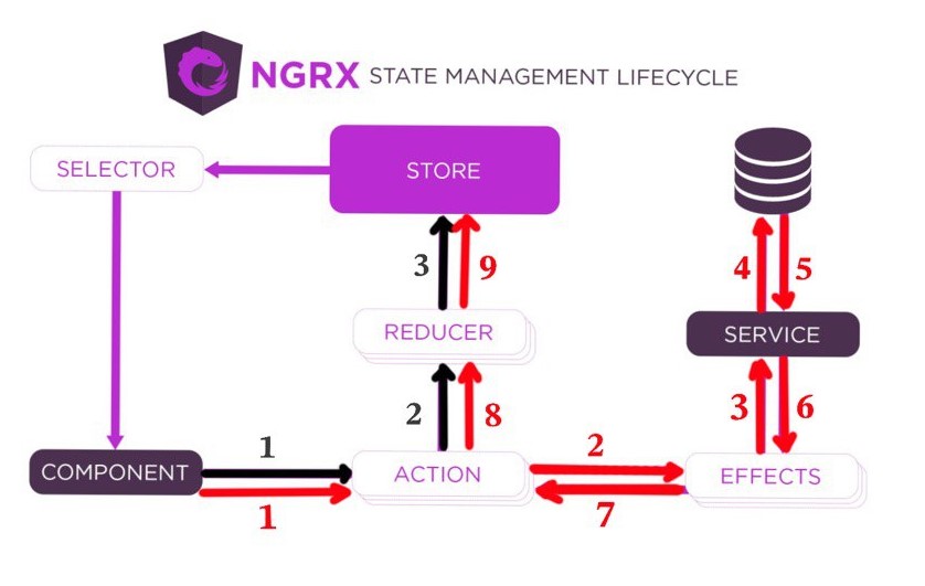 NGRX Structure